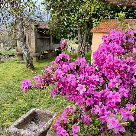 Casa Da Adega * Sá