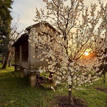 Casa Da Adega Hétvégi ház *